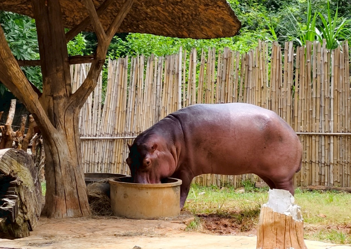 สวนสัตว์โคราช