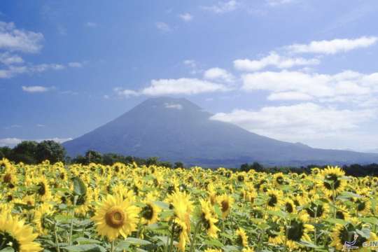 홋카이도 날씨 후라노