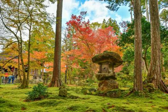 大原三千院