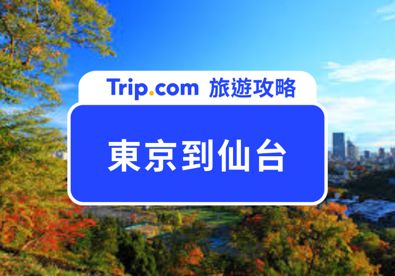東京到仙台交通