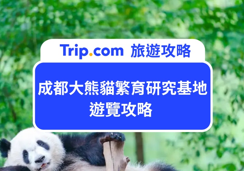 成都大熊貓繁育研究基地遊覽攻略 