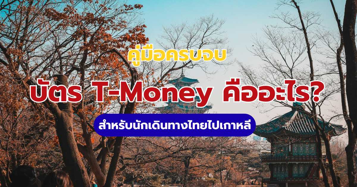 คู่มือบัตร T-Money 2569 วิธีซื้อ เติมเงิน และใช้เดินทางเกาหลีแบบมือโปร