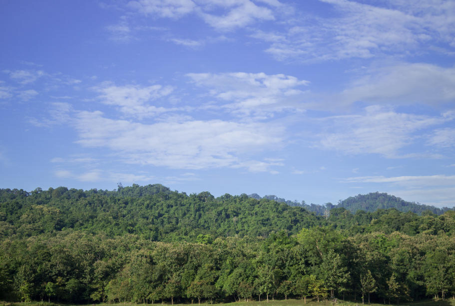 เที่ยวชะอม สระบุรี 2569: คู่มือฉบับสมบูรณ์ ที่เที่ยว ที่พักห้ามพลาด | Trip.com