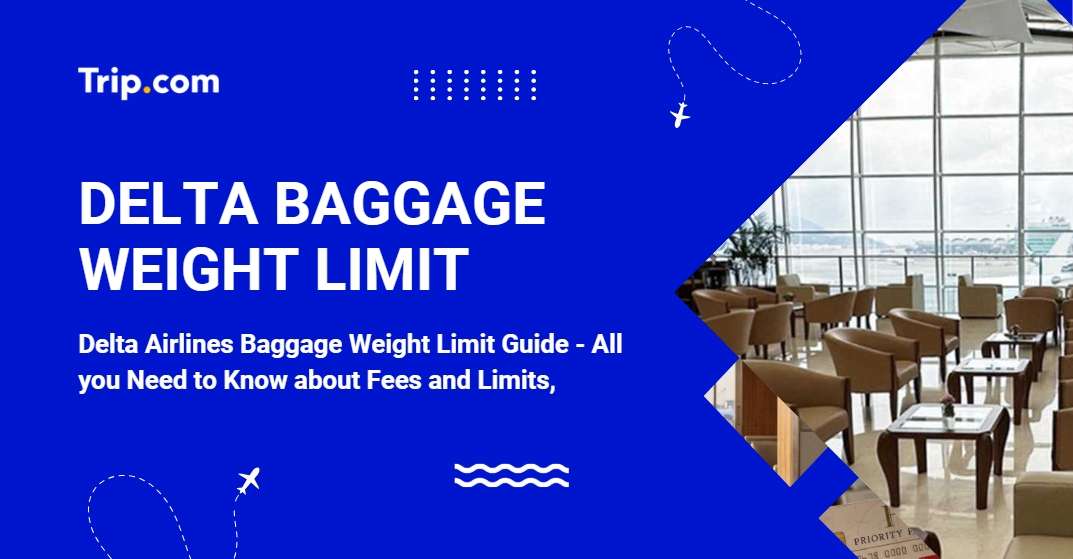 Delta Airlines Baggage Limit: Avoid Extra Fees | Trip.com