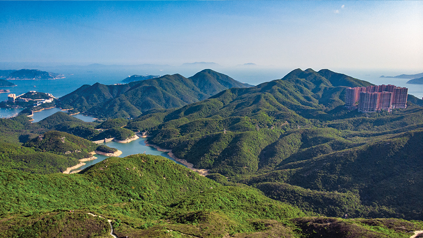 紫羅蘭山
