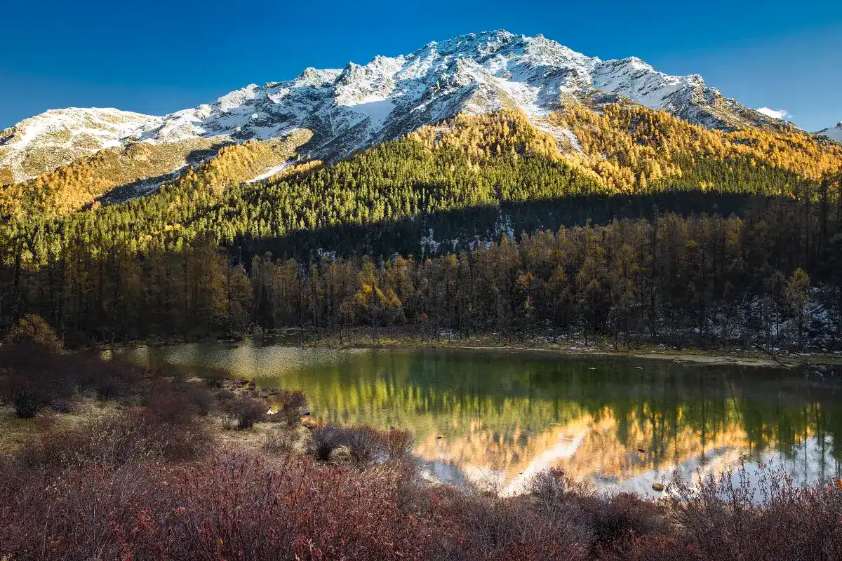 ปากแม่น้ำ