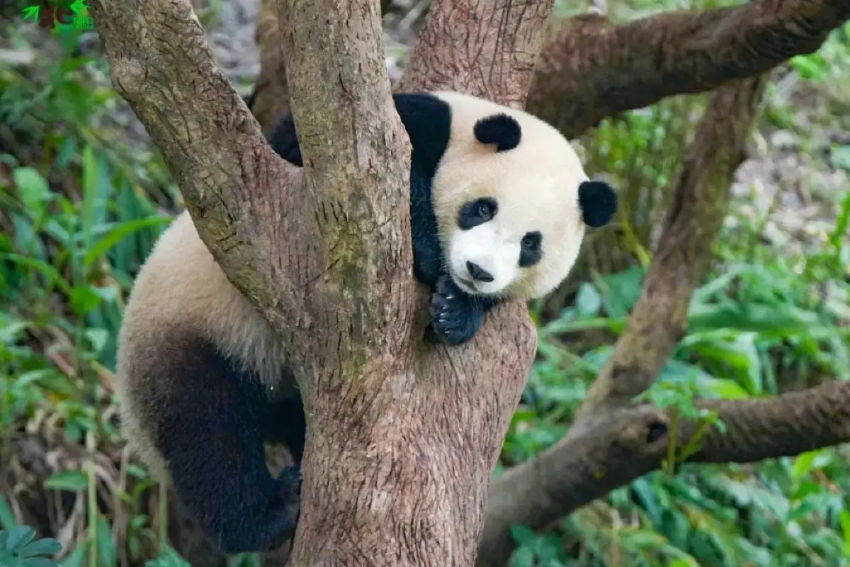 市立動物園