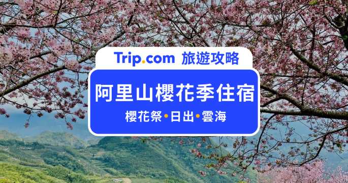 2026 阿里山櫻花季住宿：賞櫻、看日出、雲海首選清單 | Trip.com