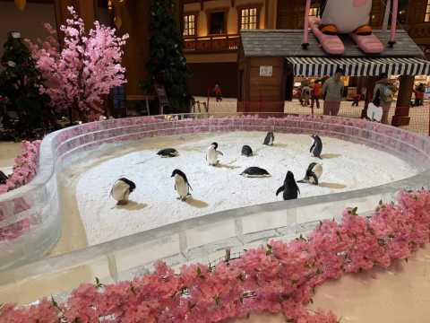 โซนสวนสนุกหิมะ L*SNOW