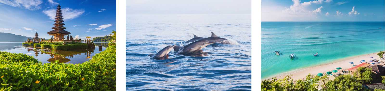 Bali's natural icons: a lakeside temple, dolphins swimming in the open sea, and a beach with turquoise waters.