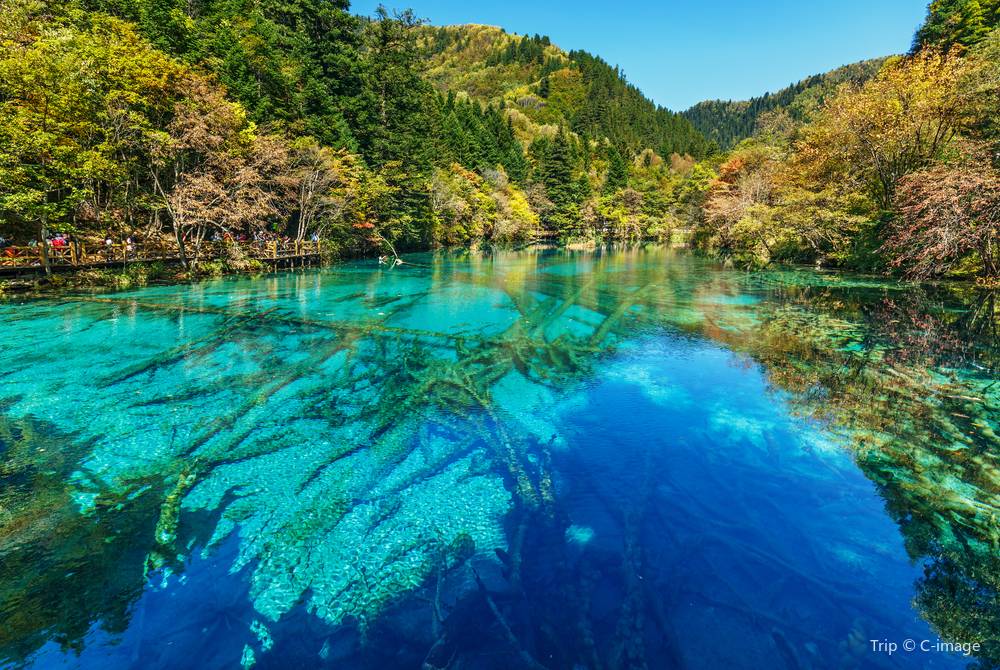 人間仙境，彩池瀑布，藏羌風情，四季奇幻。