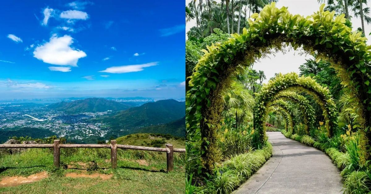 Entre Hong Kong et Singapour, quelle destination offre la meilleure nature ?