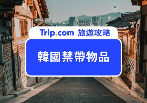 2026 韓國禁帶物品規定：EVE 止痛藥、豬肉相關製品不能帶！ | Trip.com