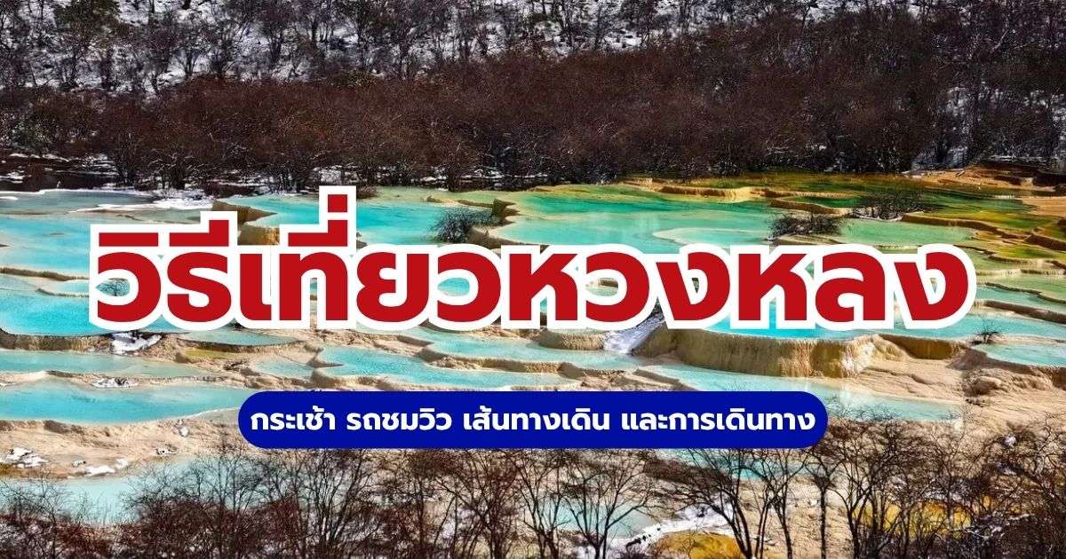 วิธีเที่ยวหวงหลง 2569 กระเช้า รถชมวิว เส้นทางเดิน | Trip.com