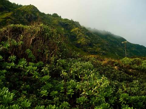 Kaena Point State Park