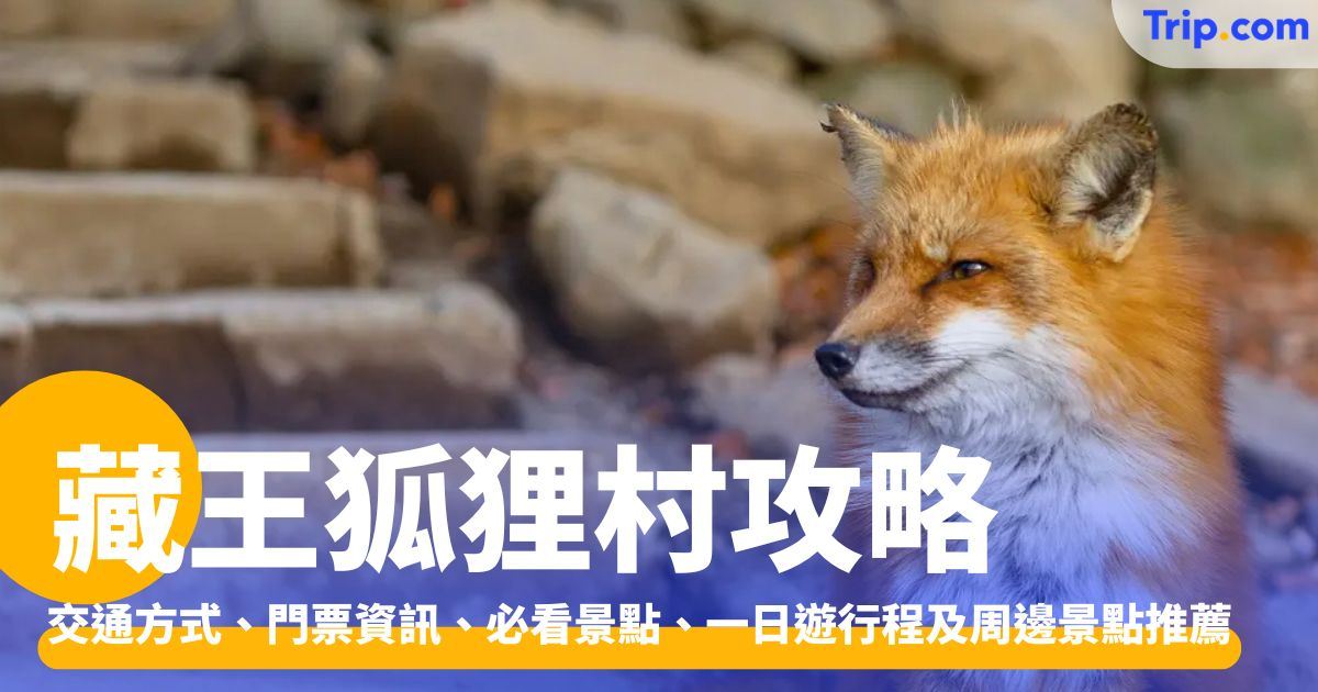 藏王狐狸村：必看亮點、交通方式、門票優惠與周邊景點 | Trip.com