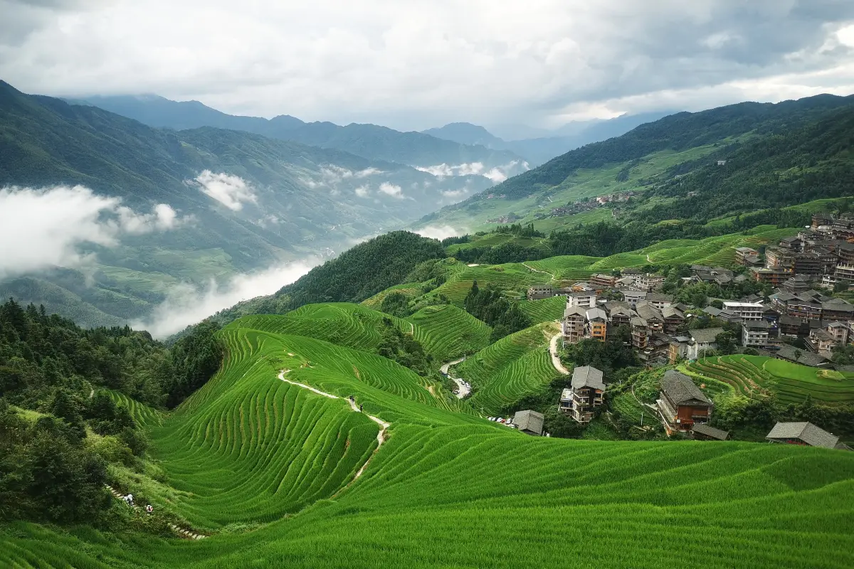Longji Rice Terraces