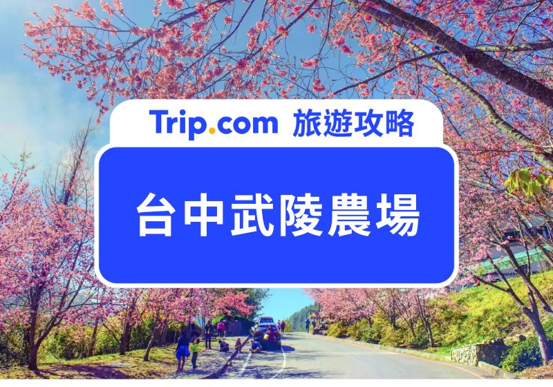 台中武陵農場