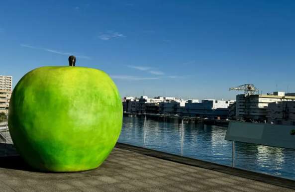 고베 당일치기 가볼만한곳