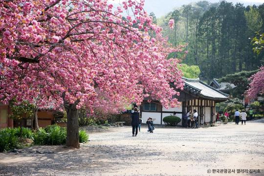 4월 여행지, 순천