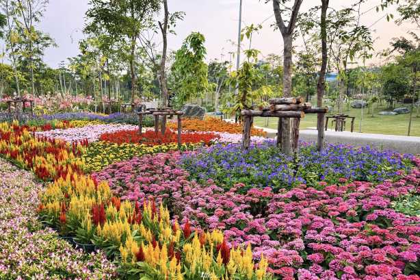 สวนดอกไม้ตามฤดูกาล