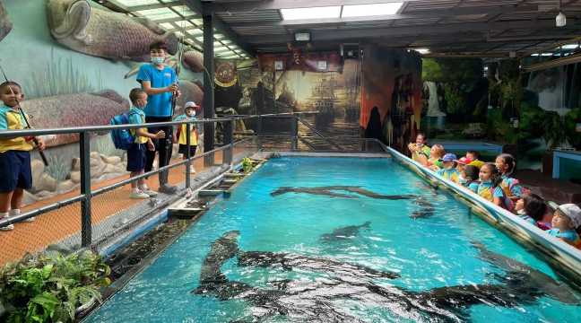 Monster Aquarium Pattaya