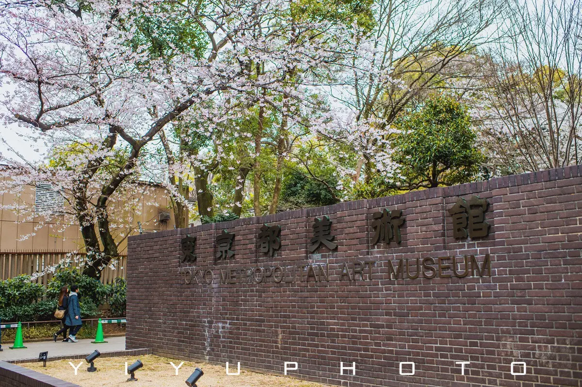 東京都美術館