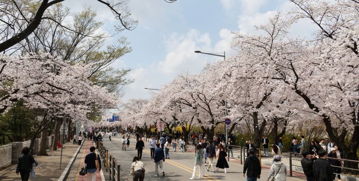 서울 개화 시기, 여의도