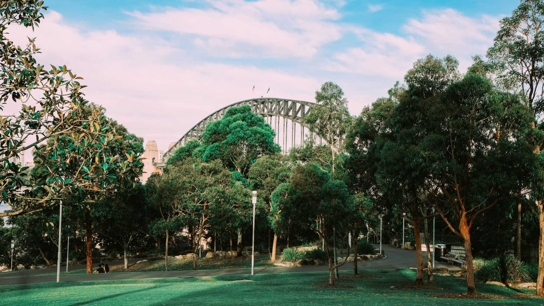 Bradfield Park และ Mary Booth Reserve - เคาท์ดาวน์ซิดนีย์