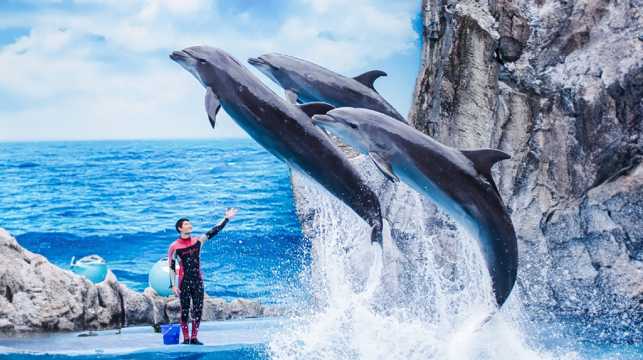 ซาฟารีเวิลด์ (Safari World)