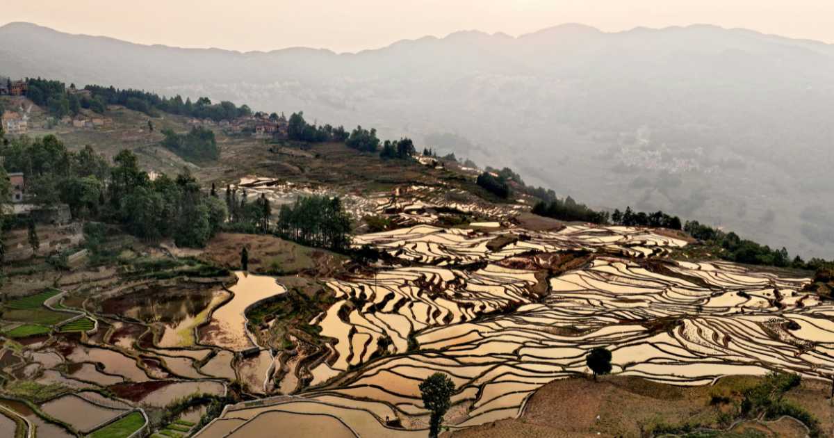 Vista aerea Risaie a terrazze di Yuanyang