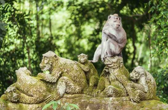 발리 입국신고서 비용
