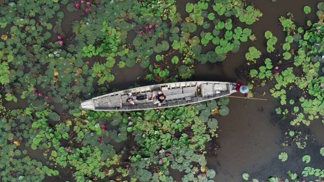 ล่องเรือตลาดน้ำทุ่งบัวแดง