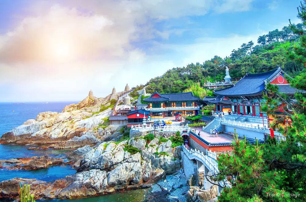 7번국도여행 3박 4일