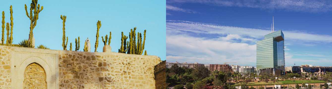 Contraste entre murallas históricas con cactus y arquitectura moderna en Rabat