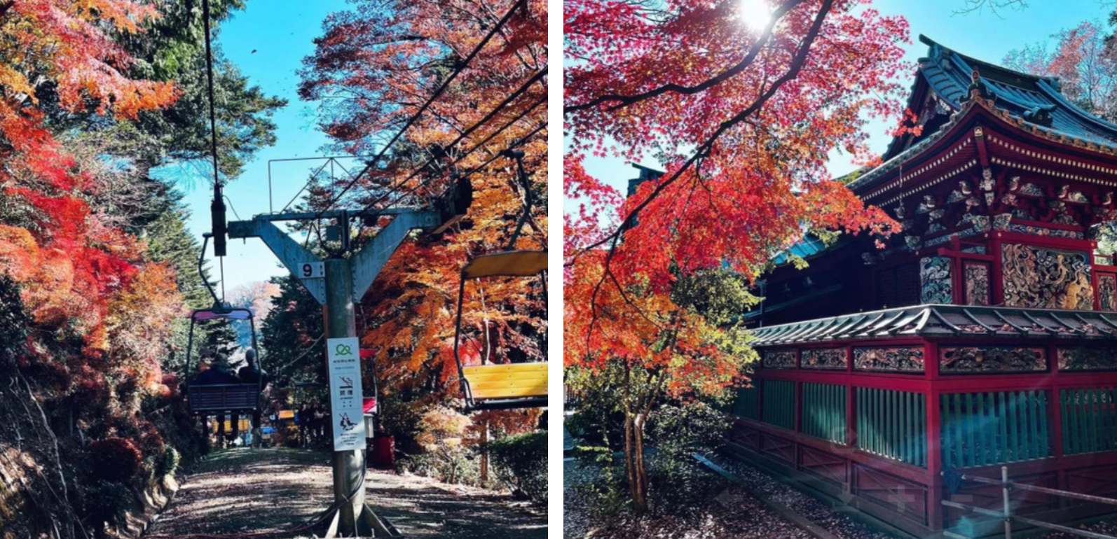 高尾山一日遊 | 楓葉