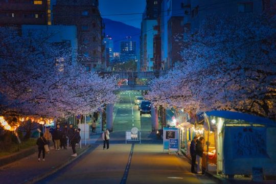 일본 여행 준비물