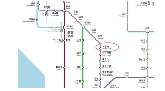九圍濕地公園交通
