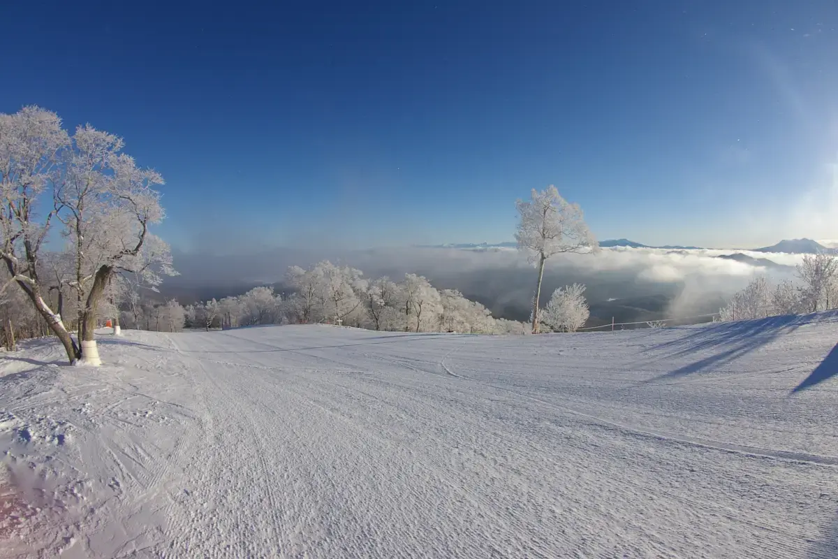 名古屋滑雪, Meiho 滑雪場