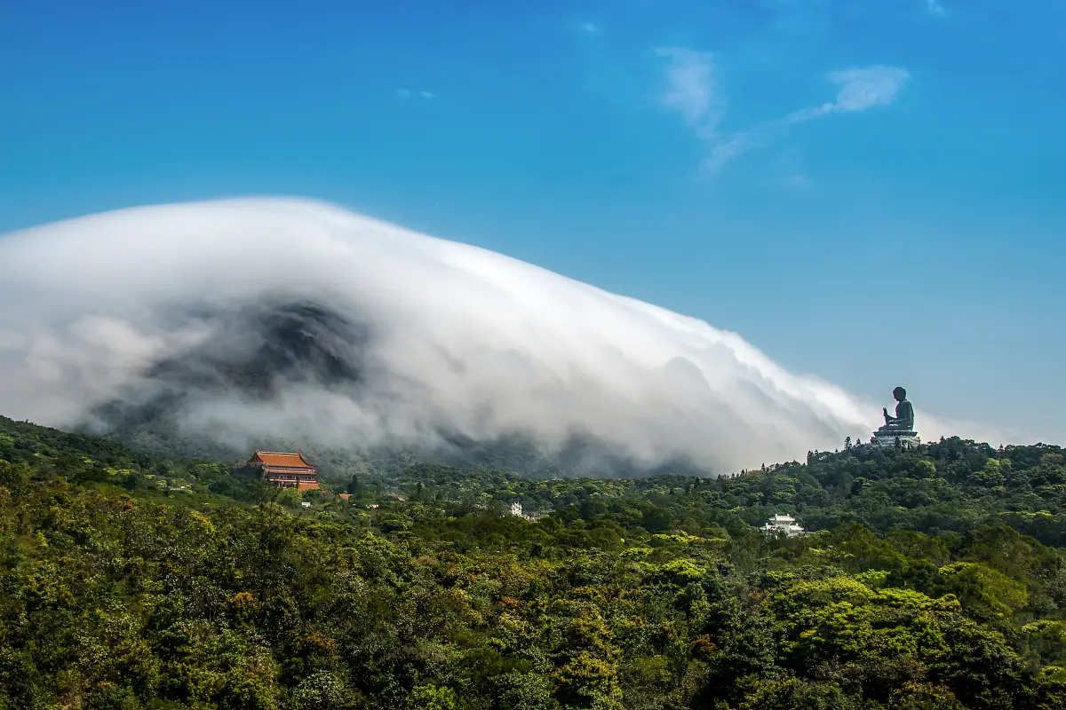 A panoramic image of the lantau island mountains, with the big buddha overlooking the forest