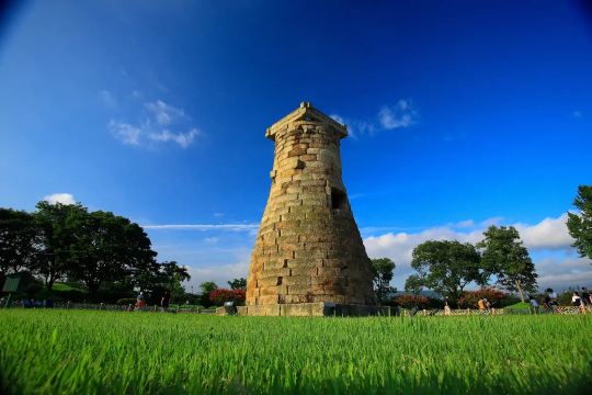 경주 벚꽃 가볼만한 곳