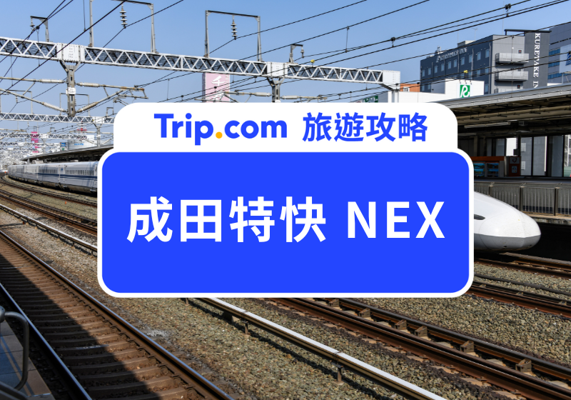 成田特快 N’EX