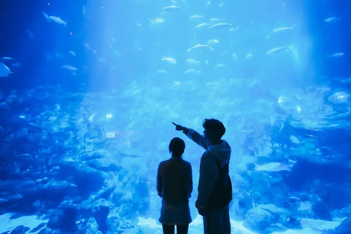 โอเชี่ยนพาร์ค ฮ่องกง