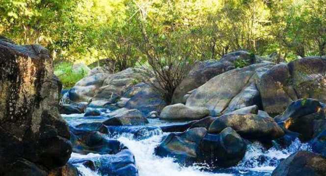 รีสอร์ทสวนผึ้ง 