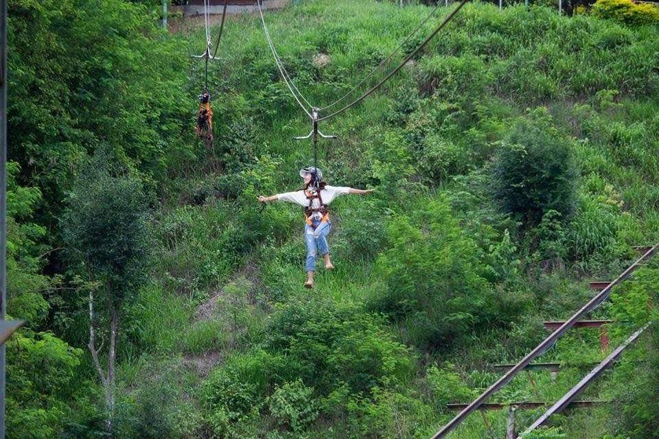 Flying Fox