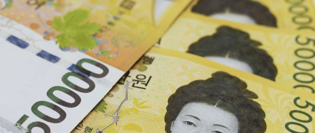 Banconote in won sudcoreano utilizzate per le spese di viaggio e turismo in Corea del Sud