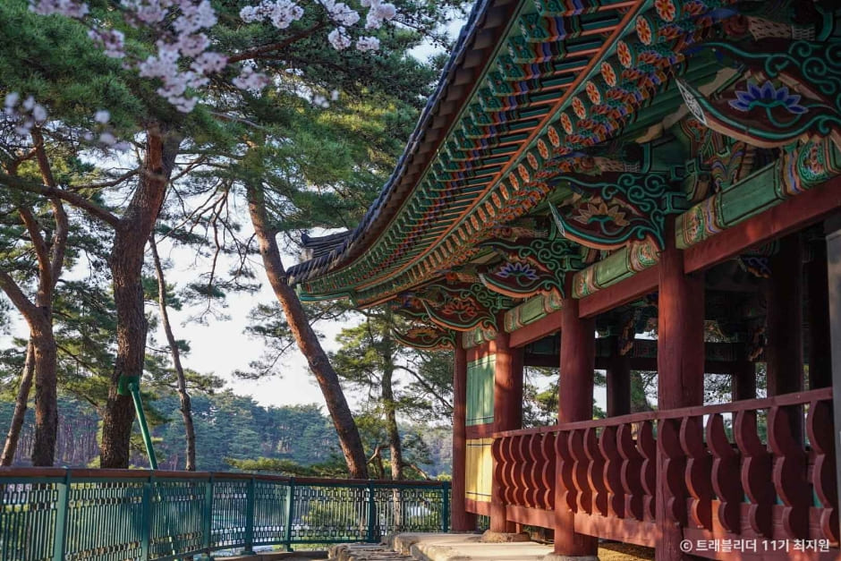 6월 해외 여행지 추천, 강릉