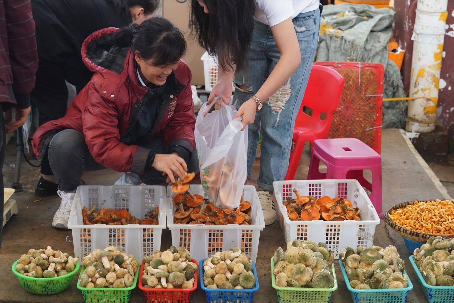 쿤밍 공항 특산품, 버섯