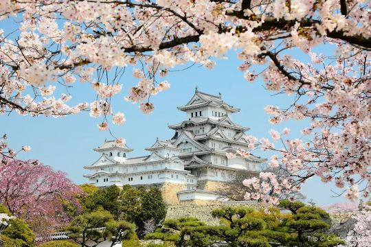 What Else Can You Do With the Kansai–Hiroshima Area Pass? Hameji Castle