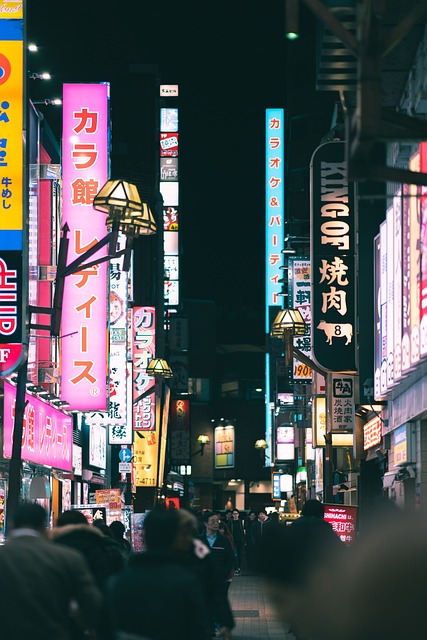 도쿄 야경 신주쿠